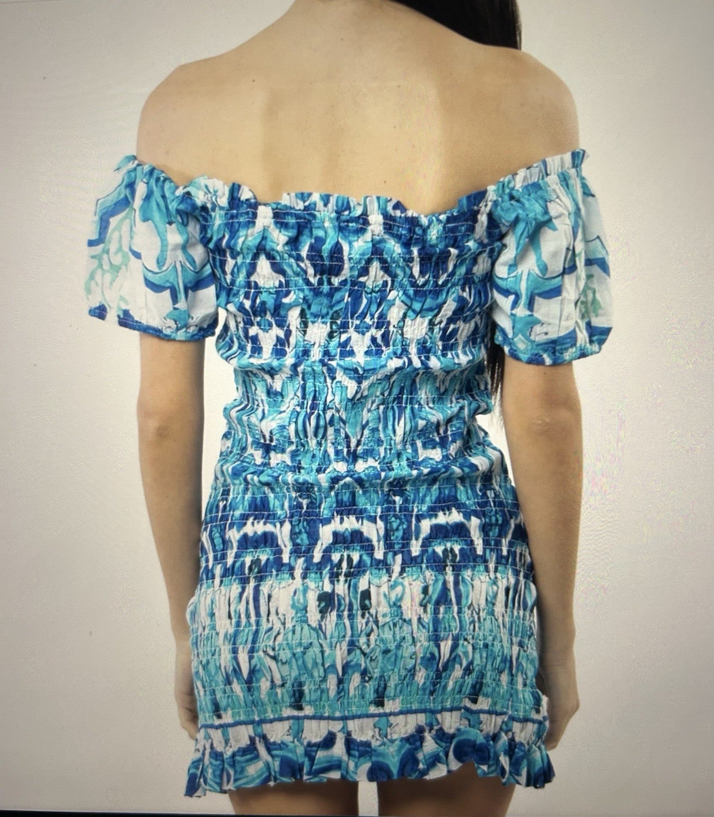 Antica Sartoria 2025 Blue Aqua & White Smocked Dress O/ S Nwt