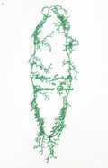Antica Sartoria Long Green Beaded Could Be Doubled 30”Long Necklace NWT